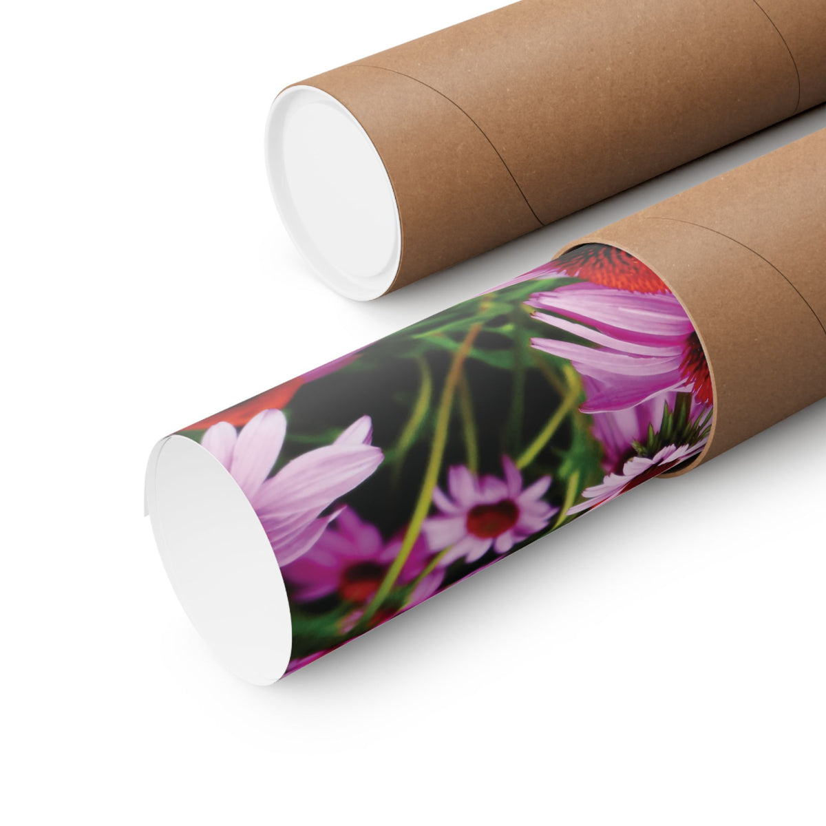Purple Floral Poster - Vibrant Field of Purple Coneflowers Matte Poster