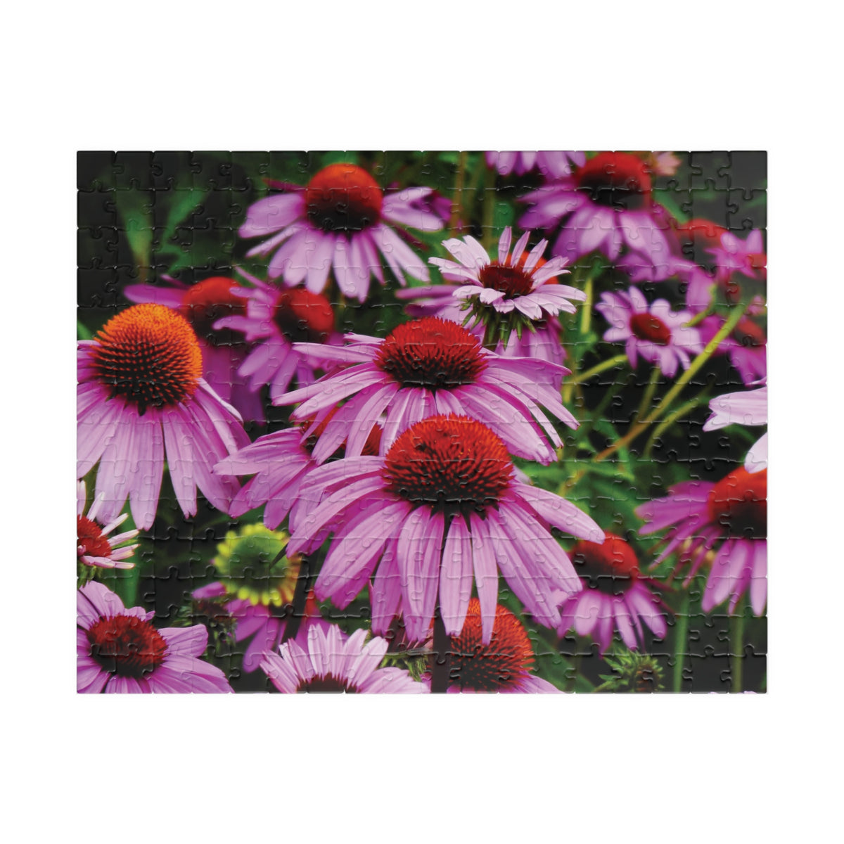 Vibrant Floral Field Puzzle -  Purple Coneflowers Puzzle- 110, 252, or 520 pieces