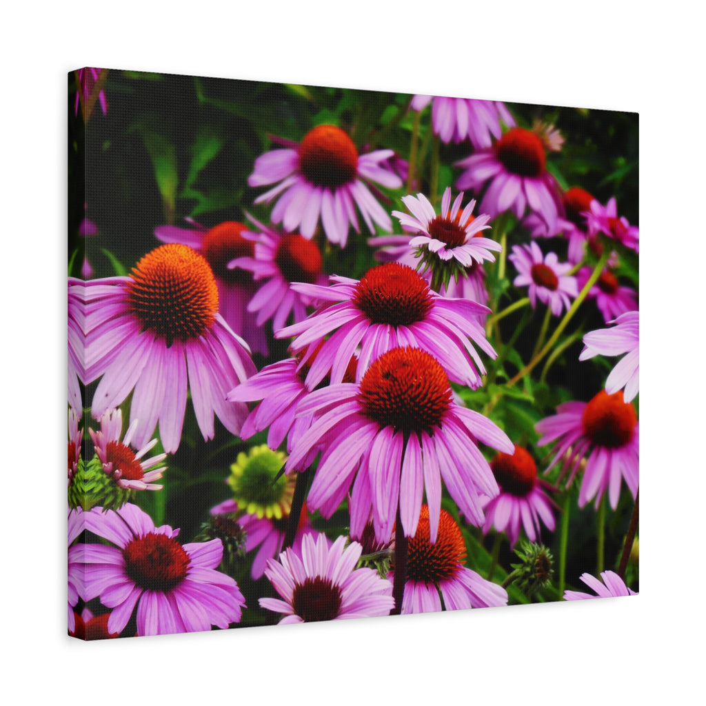 Floral Gallery Wrap - Vibrant Field of Purple Coneflowers Canvas Wrap
