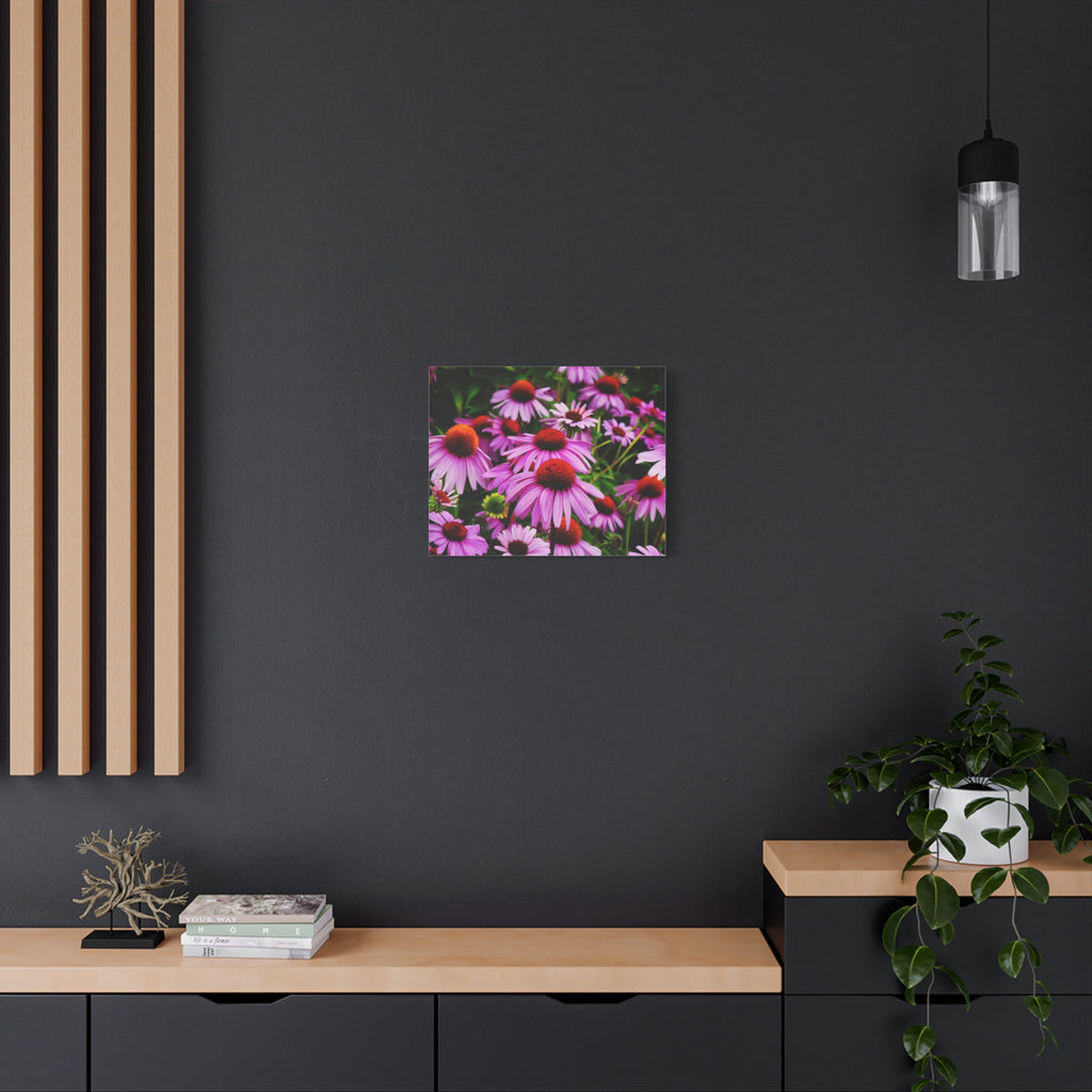 Floral Gallery Wrap - Vibrant Field of Purple Coneflowers Canvas Wrap
