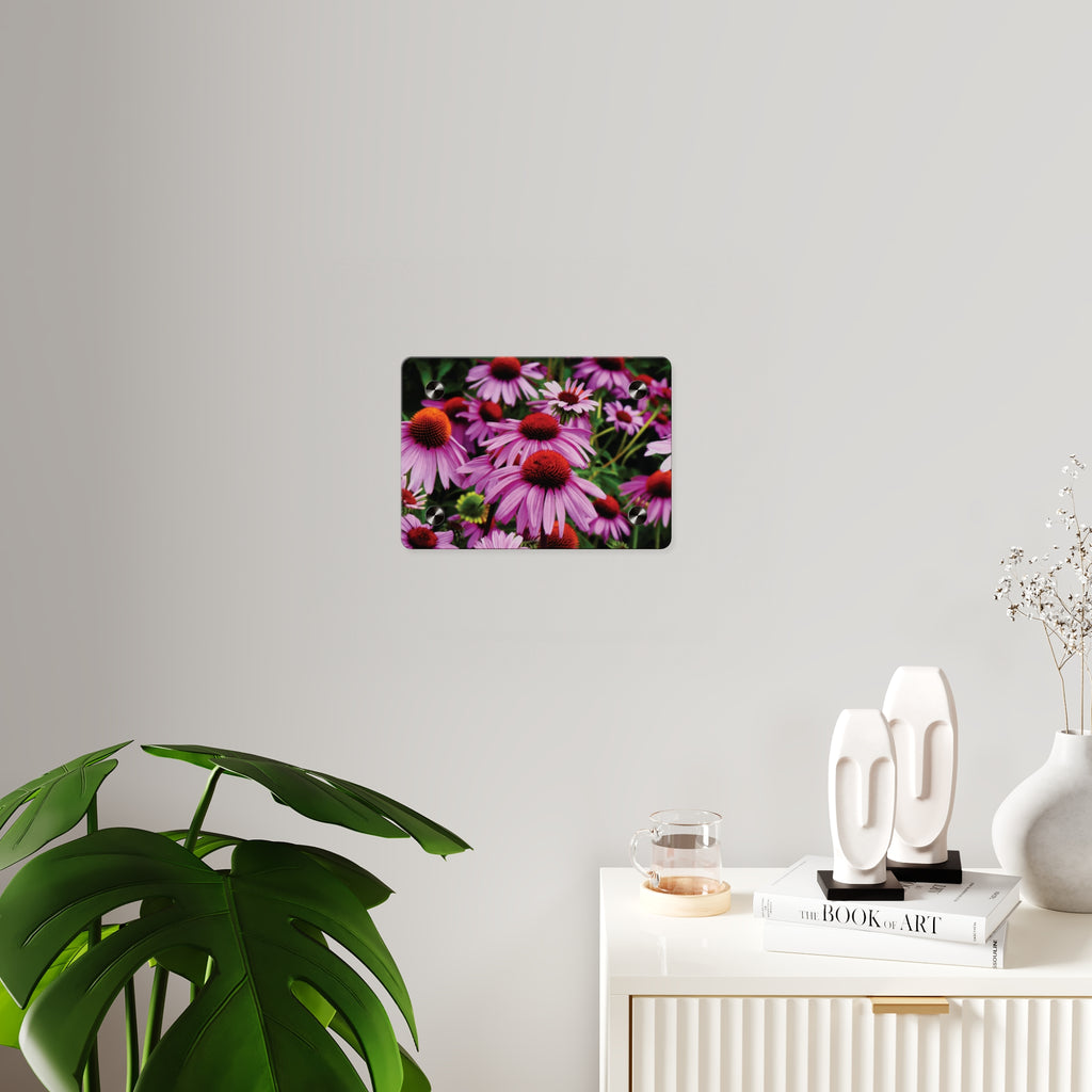 Purple Coneflowers Wall Art - Vibrant Field of Purple Coneflowers Acrylic Art Panel