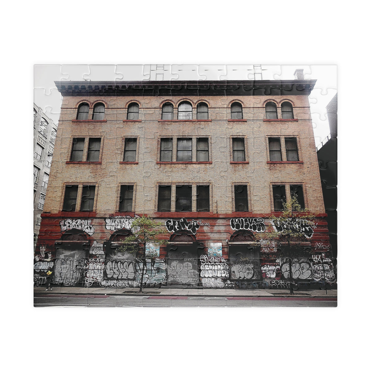 Urban Graffiti Photo Puzzle - Street Level Tagged Building Puzzle- 110 or 252 pieces