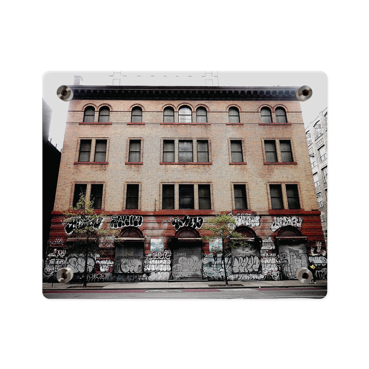 Urban Graffiti Photo Wall Art- Street Level Tagged Building  Acrylic Wall Art Panel