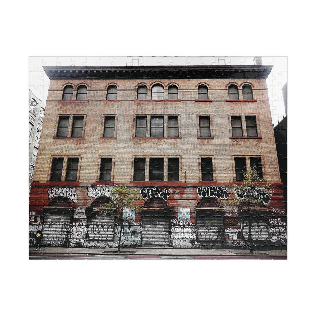 Urban Graffiti Photo Puzzle - Street Level Tagged Building Puzzle- 110 or 252 pieces