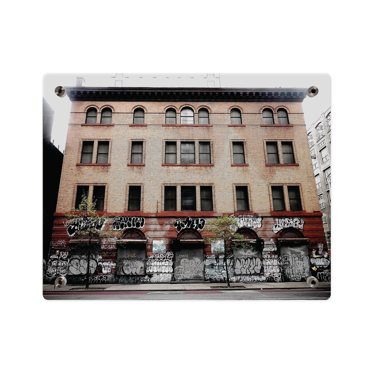 Urban Graffiti Photo Wall Art- Street Level Tagged Building  Acrylic Wall Art Panel