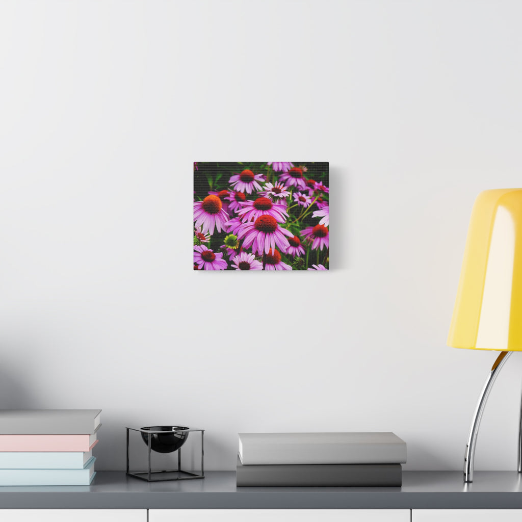 Floral Gallery Wrap - Vibrant Field of Purple Coneflowers Canvas Wrap
