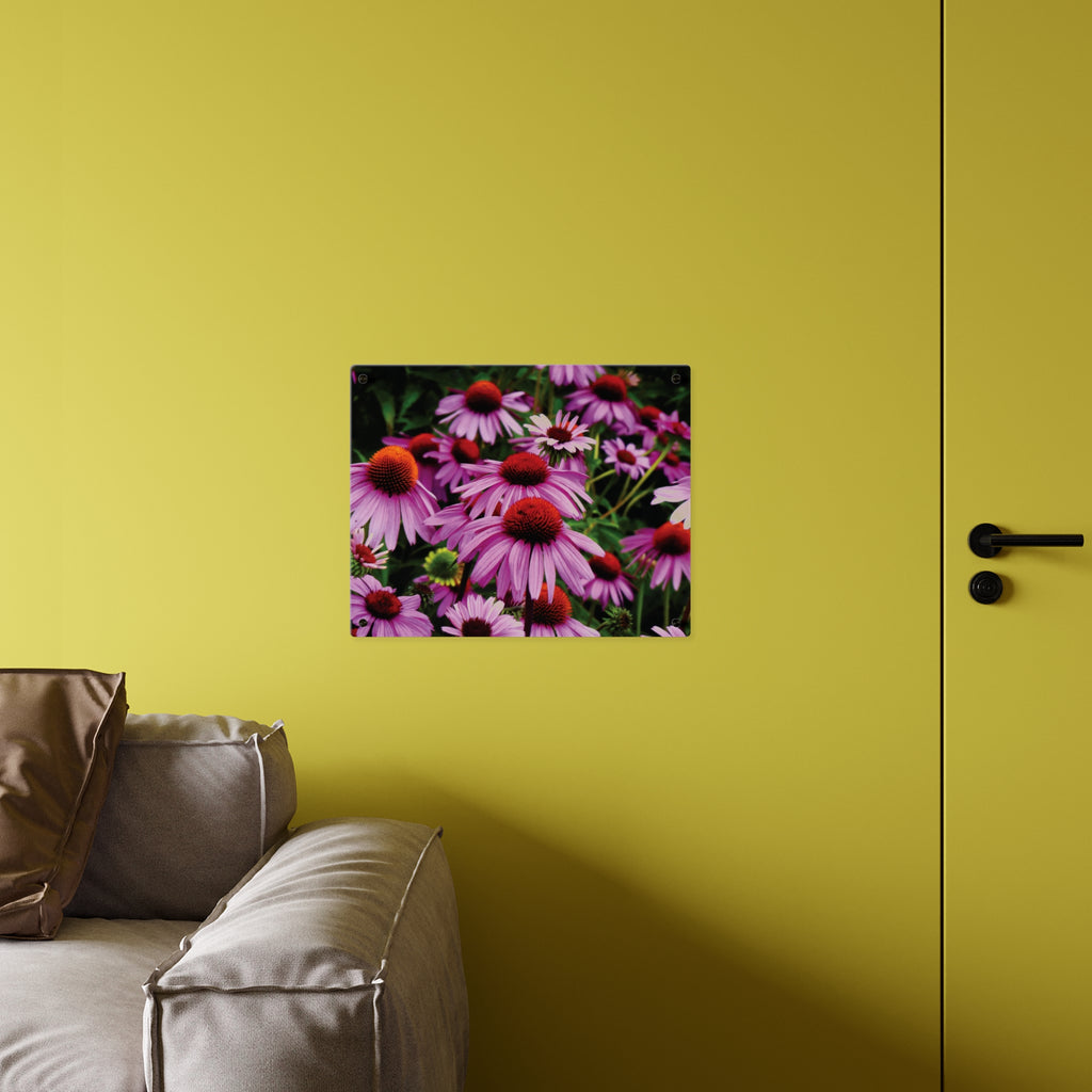 Purple Coneflowers Wall Art - Vibrant Field of Purple Coneflowers Acrylic Art Panel