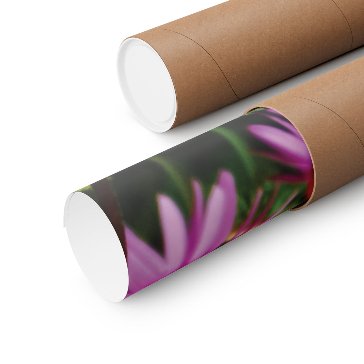 Purple Floral Poster - Vibrant Field of Purple Coneflowers Matte Poster