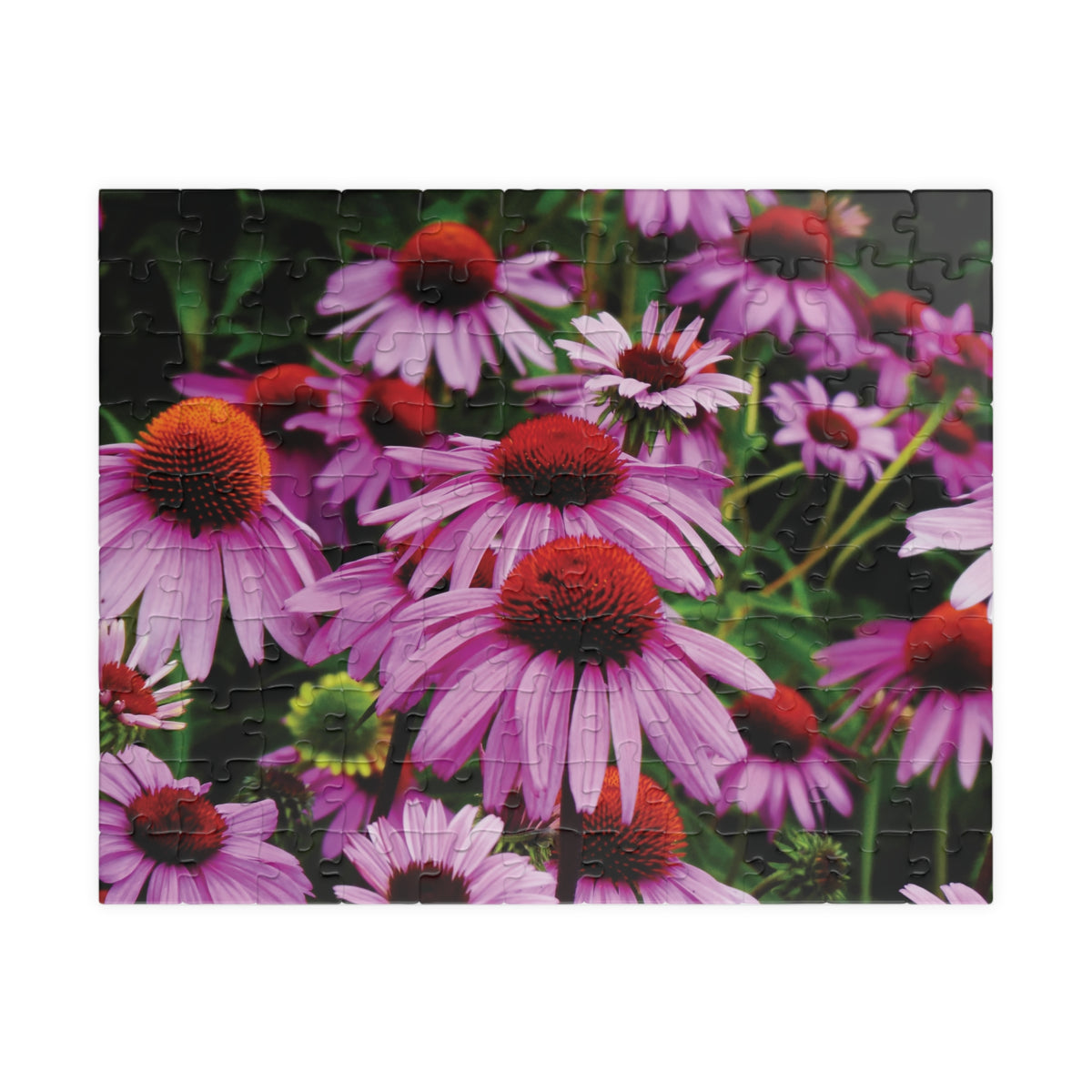 Vibrant Floral Field Puzzle -  Purple Coneflowers Puzzle- 110, 252, or 520 pieces