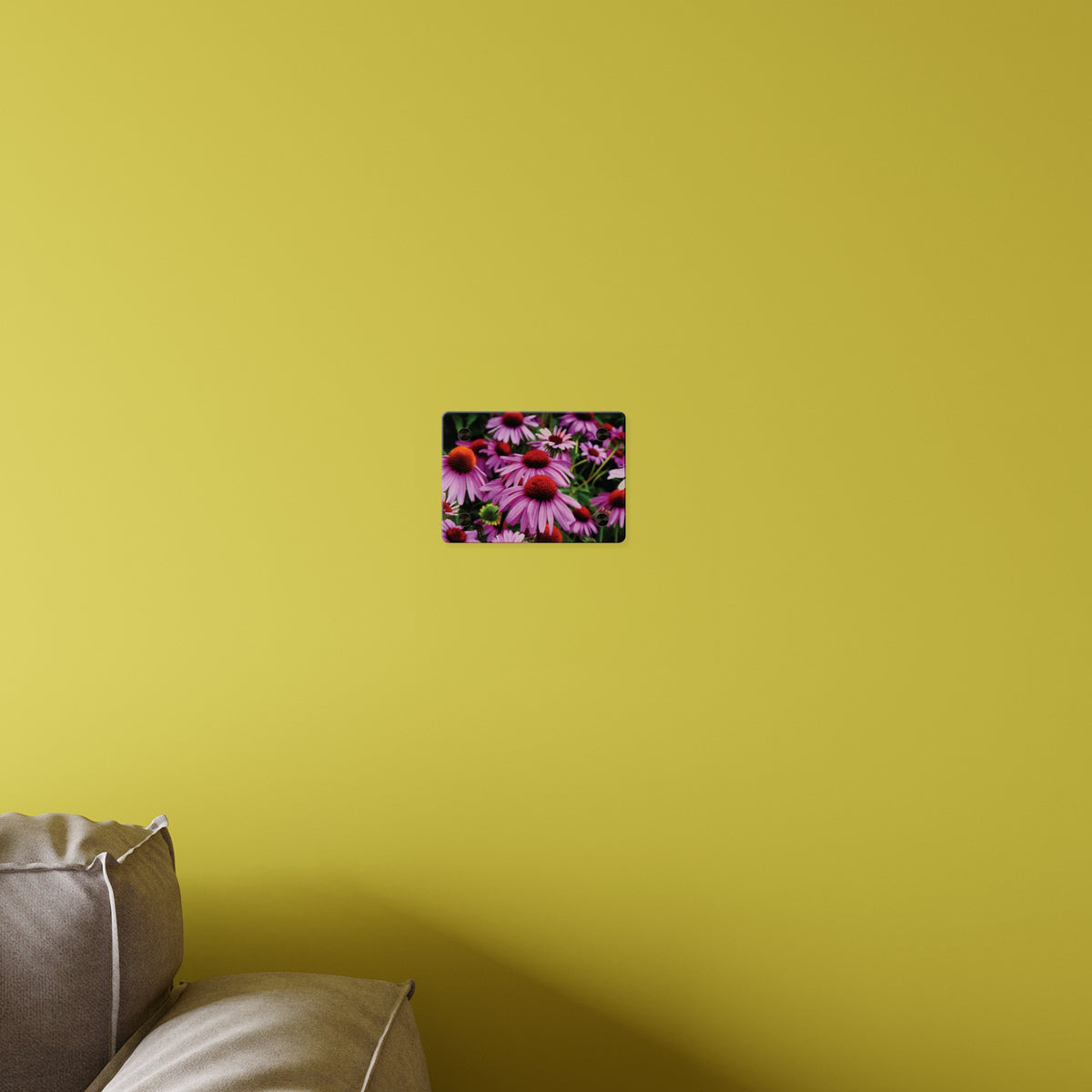 Purple Coneflowers Wall Art - Vibrant Field of Purple Coneflowers Acrylic Art Panel
