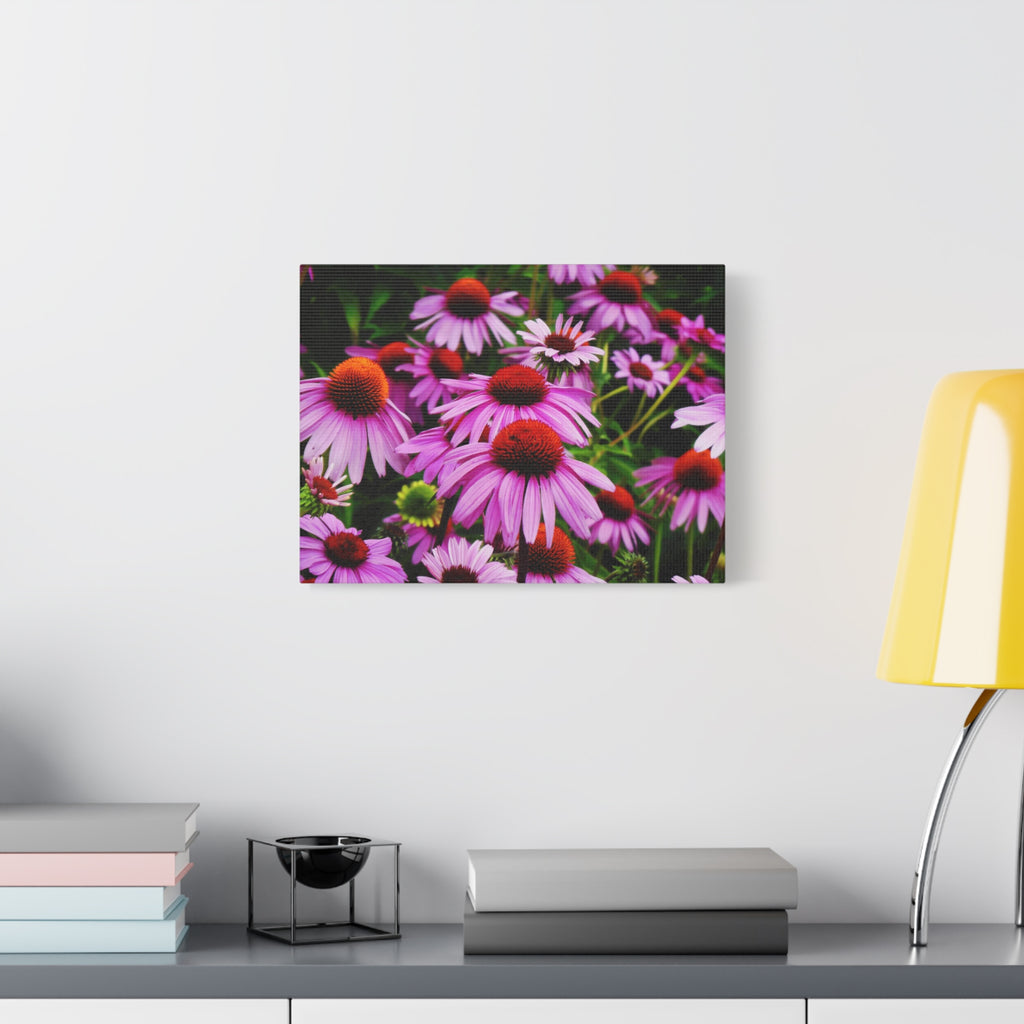 Floral Gallery Wrap - Vibrant Field of Purple Coneflowers Canvas Wrap