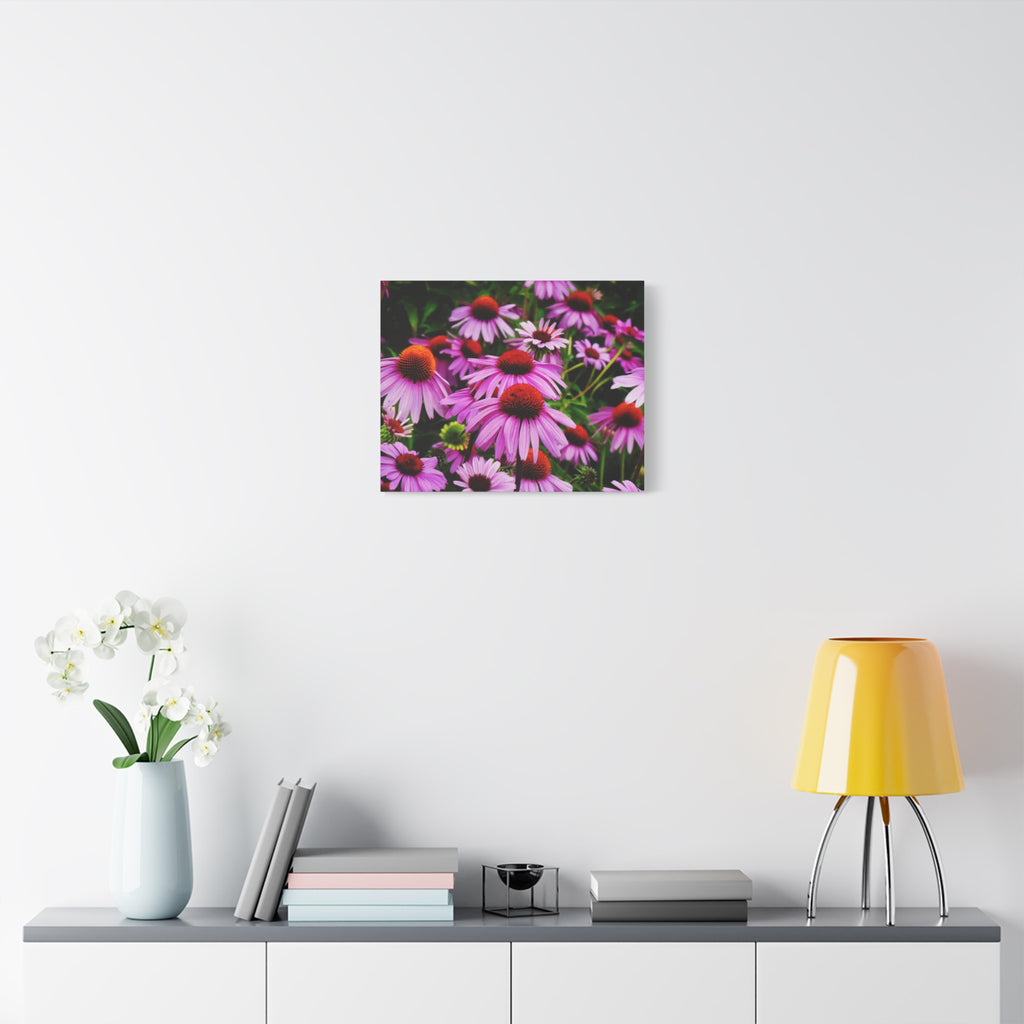 Floral Gallery Wrap - Vibrant Field of Purple Coneflowers Canvas Wrap
