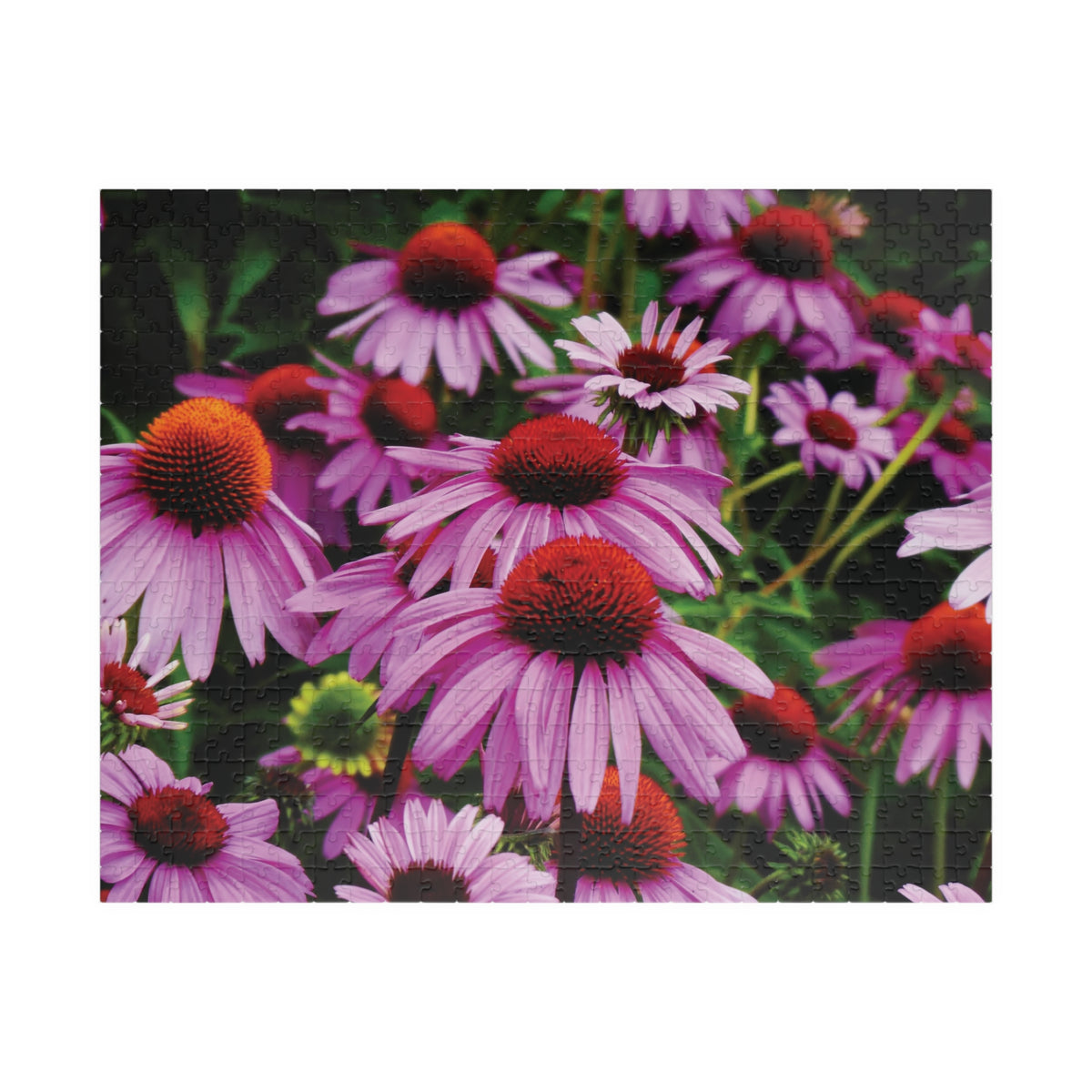 Vibrant Floral Field Puzzle -  Purple Coneflowers Puzzle- 110, 252, or 520 pieces